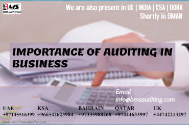 Importance of auditing in business