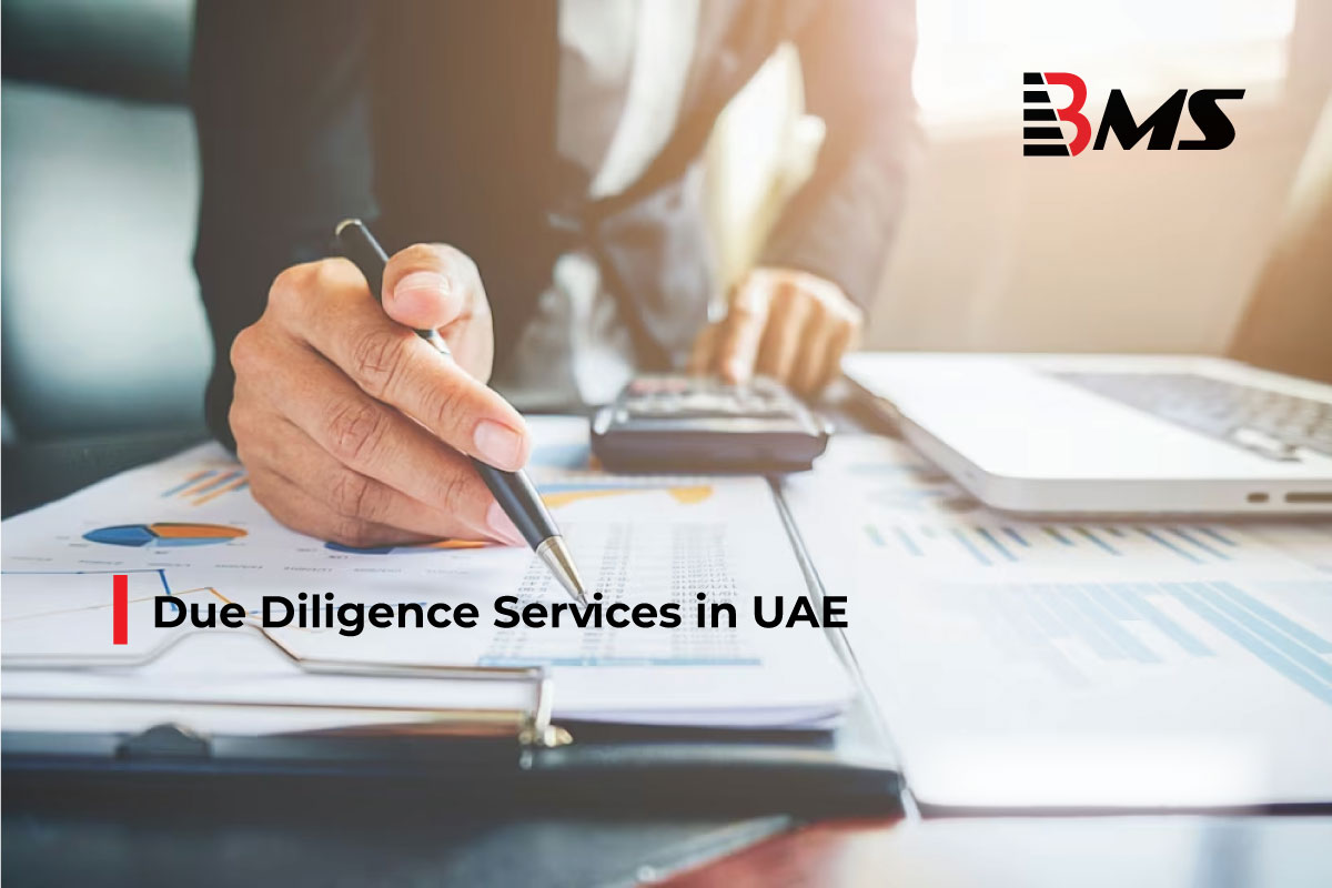 Due Diligence Services in UAE