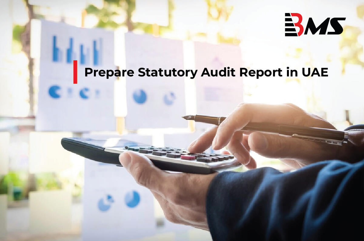 Prepare Statutory Audit Report in UAE