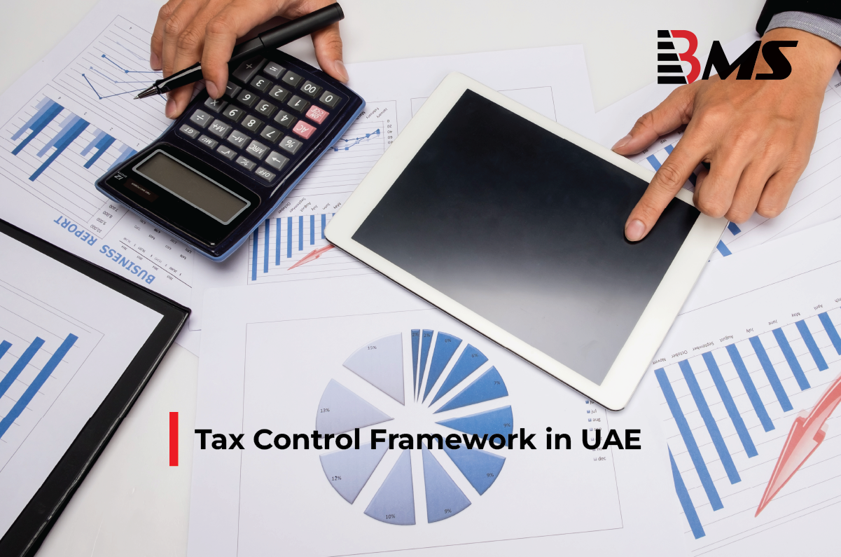 Tax Control Framework in UAE