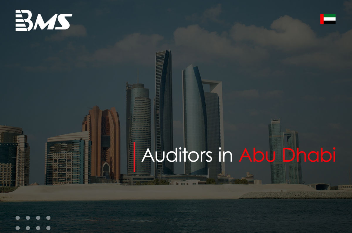 Auditors in Abu Dhabi