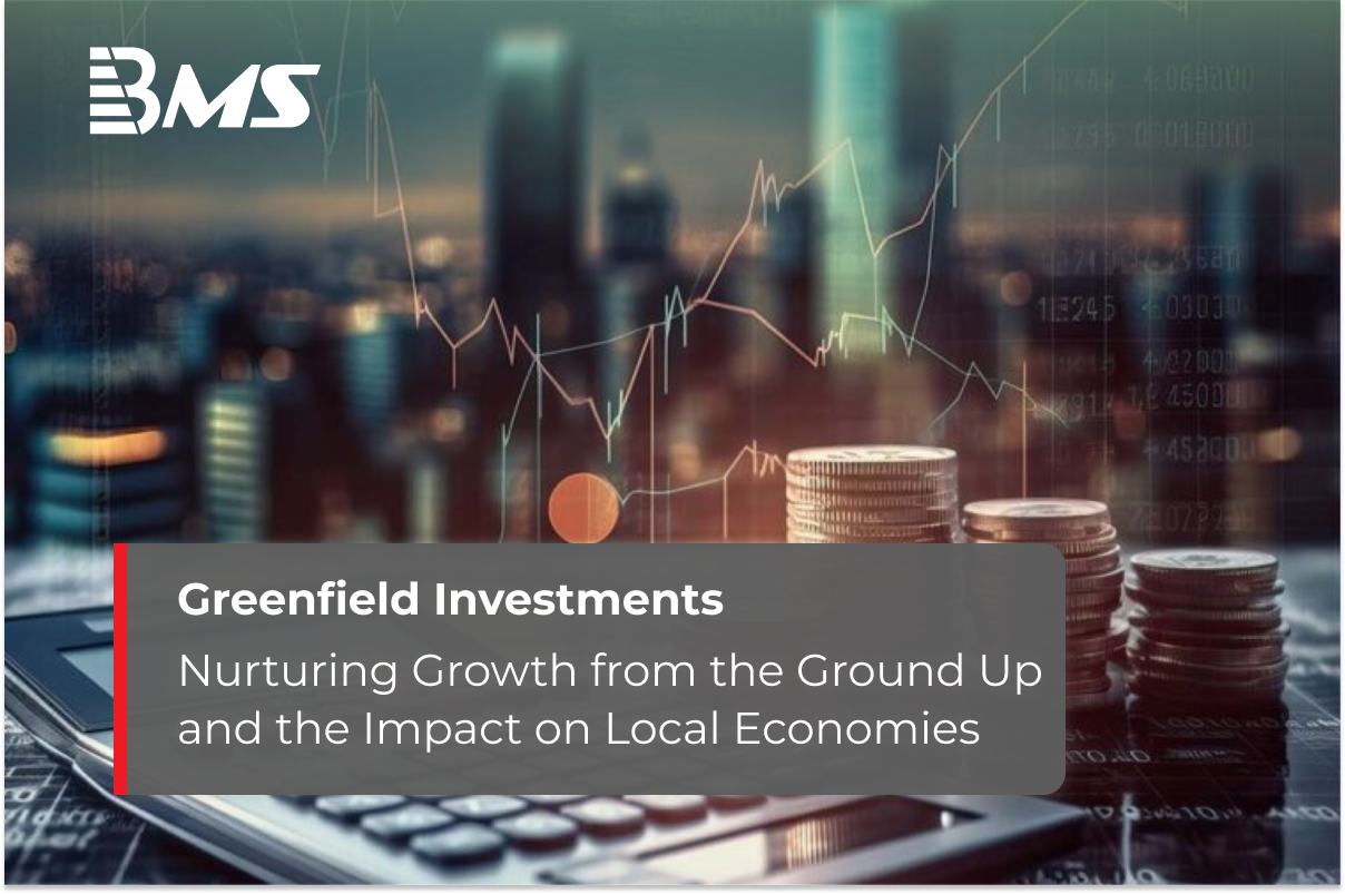 Comprehensive Overview of Greenfield Investments