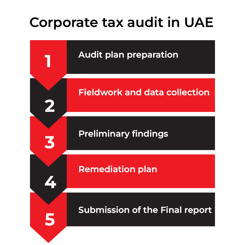 infographic mentioning the steps of corporate tax audit in UAE