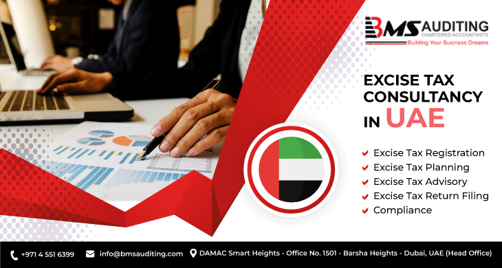 Image with text listing out the excise tax consultancy services in UAE offered by BMS Auditing