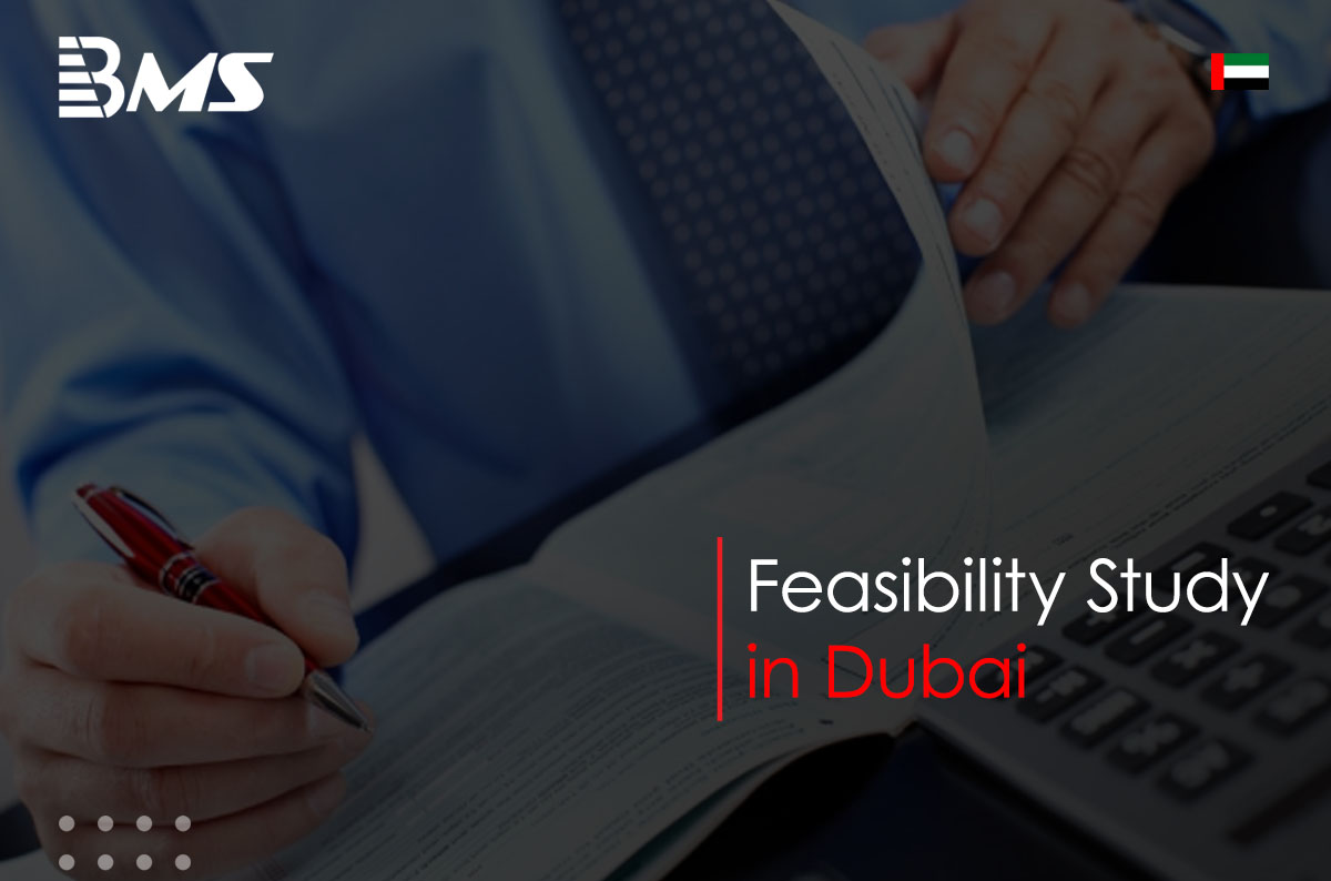 Feasibility Study Services In Dubai