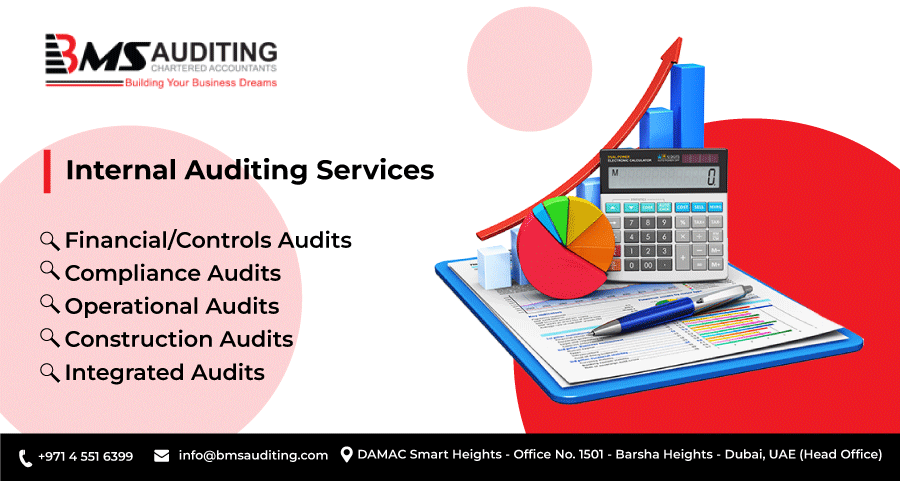 Internal Audits Services