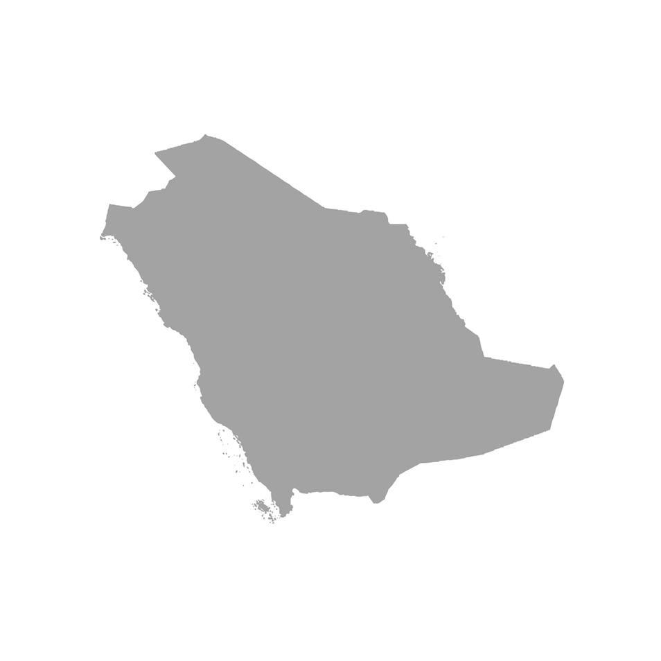 BMS Auditing Saudi Arabia | Location | Audit | Accounting | VAT | Tax