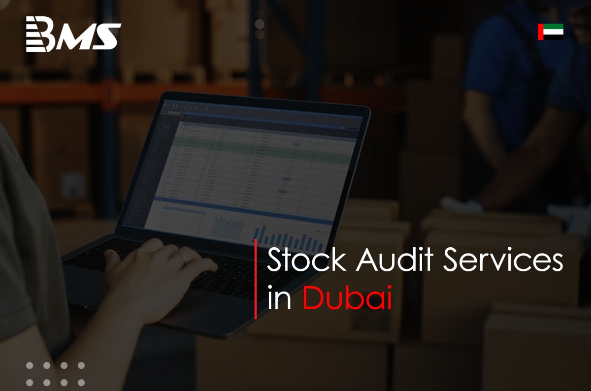 Stock Audit Services in Dubai